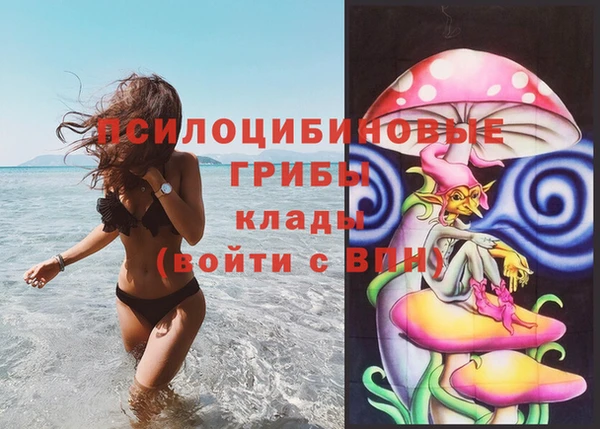 альфа пвп Беломорск