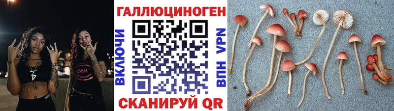 МЕГА сайт  Окуловка  Галлюциногенные грибы прущие грибы  как найти наркотики 