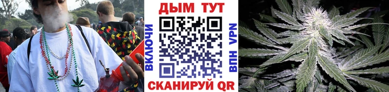 сколько стоит  Окуловка  Конопля Ganja 